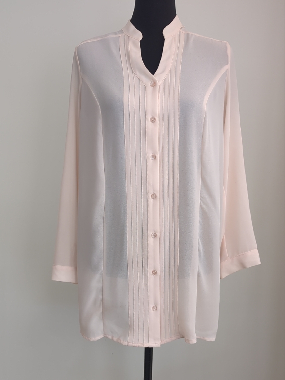 Sugarmint Sheer Pale Pink Pintuck Pleat Long Sleeve Tunic Blouse LARGE